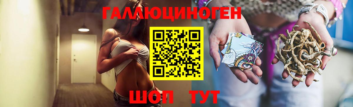 Псилоцибиновые грибы мицелий Ефремов
